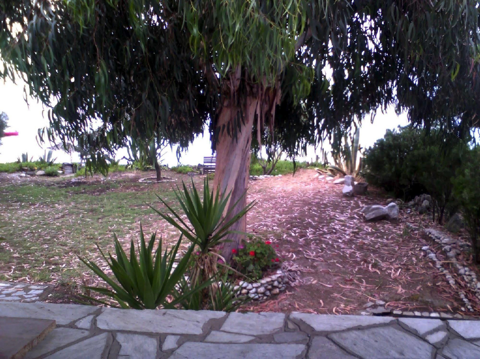 Agrelia House Vila Ouranoupoli Exterior foto